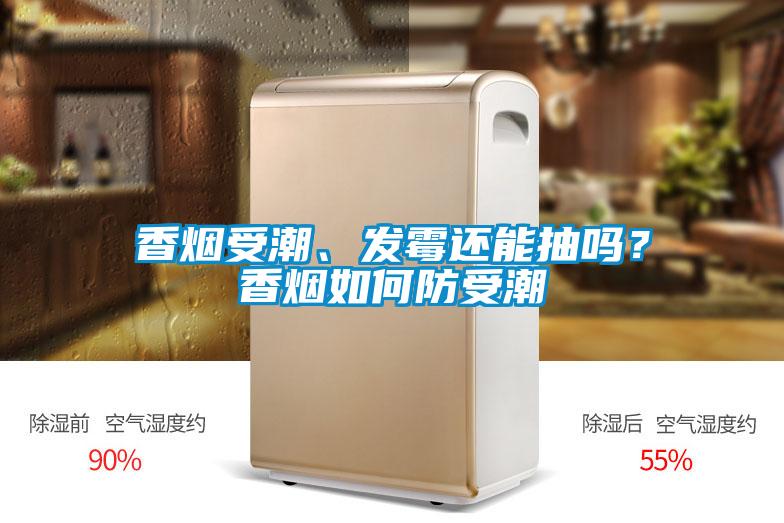 香煙受潮、發霉還能抽嗎？香煙如何防受潮