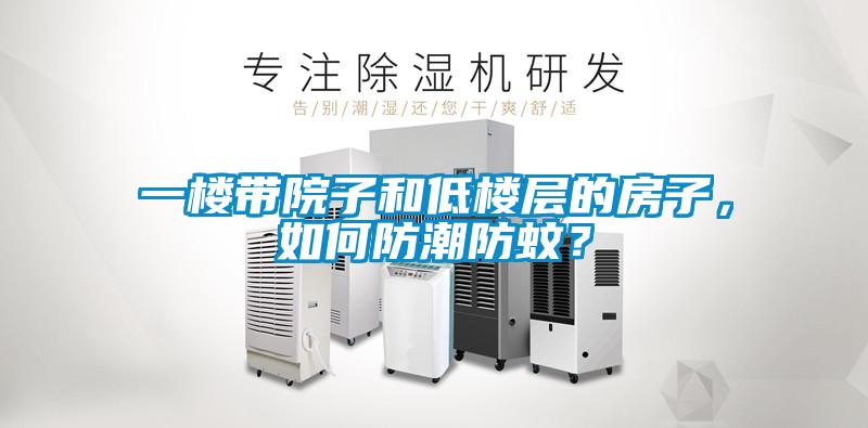 一樓帶院子和低樓層的房子，如何防潮防蚊？