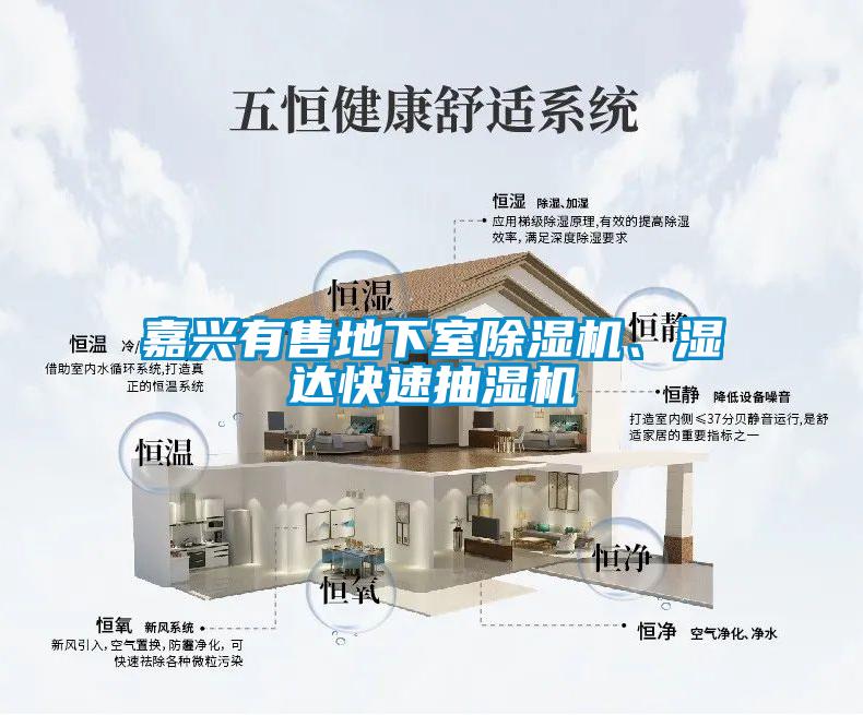 嘉興有售地下室除濕機、濕達快速抽濕機