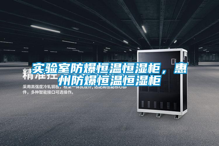 實驗室防爆恒溫恒濕柜,惠州防爆恒溫恒濕柜