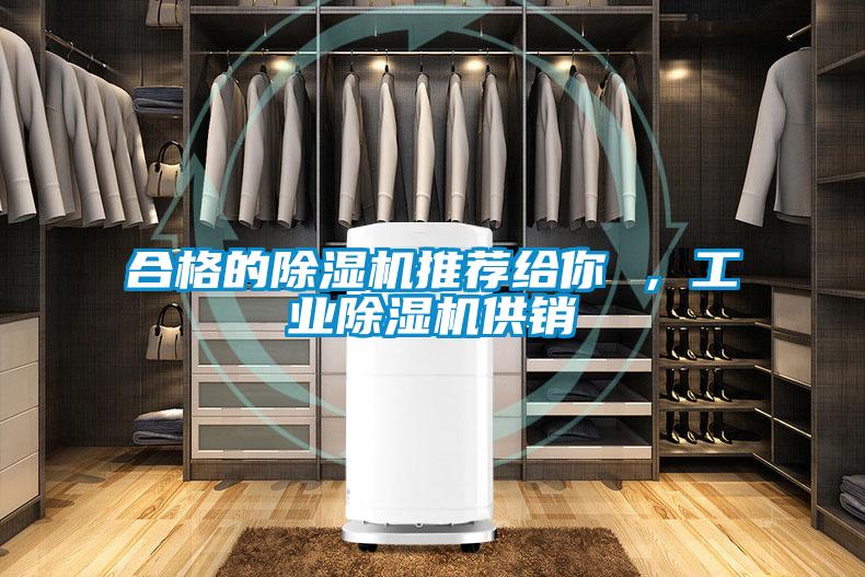合格的除濕機推薦給你 ,工業(yè)除濕機供銷