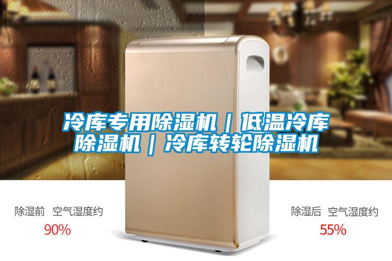 冷庫專用除濕機|低溫冷庫除濕機|冷庫轉輪除濕機