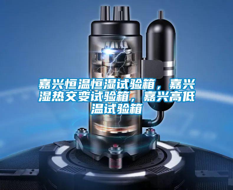 嘉興恒溫恒濕試驗箱,嘉興濕熱交變試驗箱,嘉興高低溫試驗箱