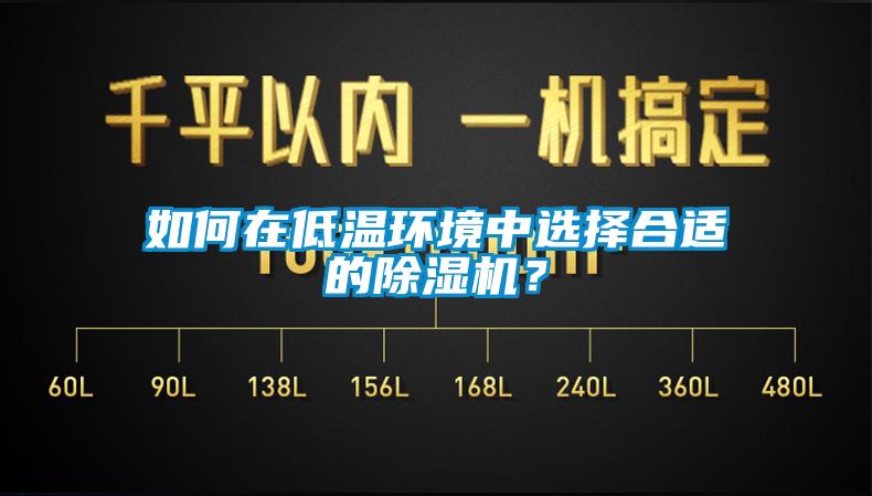 如何在低溫環境中選擇合適的除濕機?