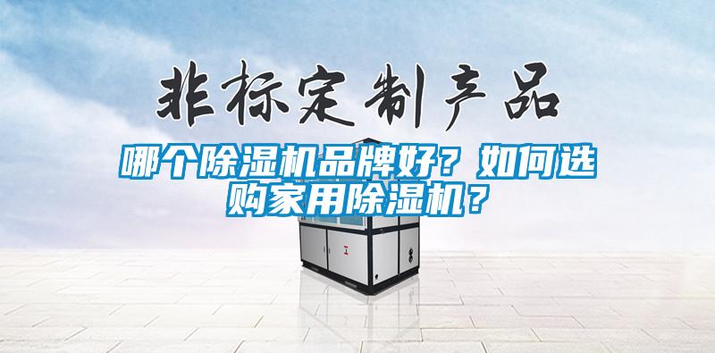 哪個除濕機品牌好?如何選購家用除濕機?