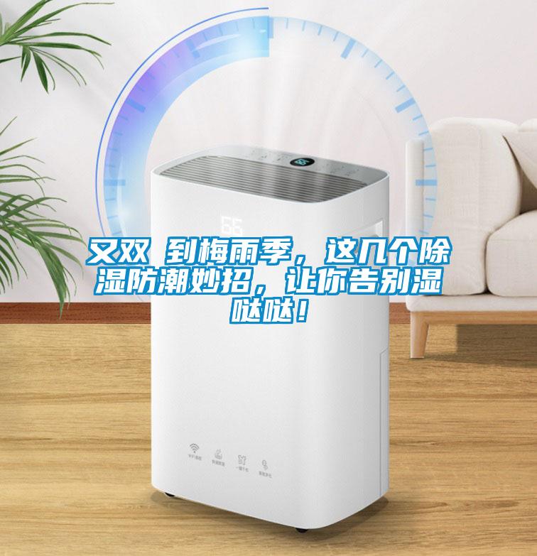 又雙叒到梅雨季，這幾個除濕防潮妙招，讓你告別濕噠噠！