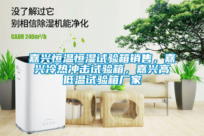 嘉興恒溫恒濕試驗(yàn)箱銷售,嘉興冷熱沖擊試驗(yàn)箱,嘉興高低溫試驗(yàn)箱廠家
