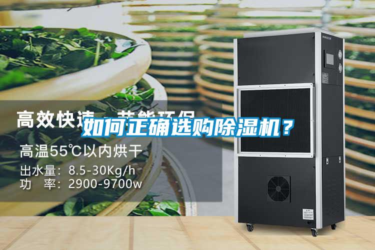 如何正確選購除濕機？