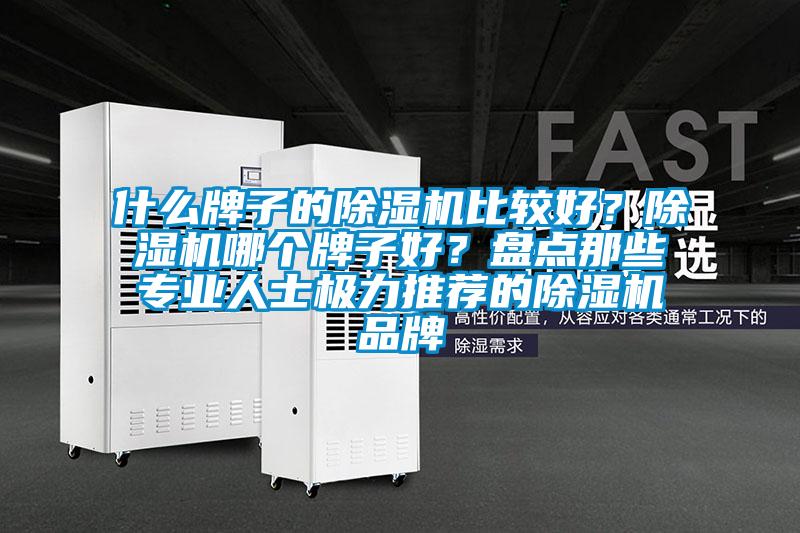 什么牌子的除濕機(jī)比較好？除濕機(jī)哪個(gè)牌子好？盤(pán)點(diǎn)那些專(zhuān)業(yè)人士極力推薦的除濕機(jī)品牌