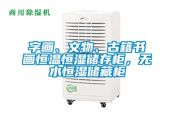 字畫、文物、古籍書畫恒溫恒濕儲存柜，無水恒濕儲藏柜