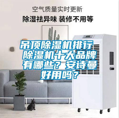 吊頂除濕機排行 除濕機十大品牌有哪些？安詩曼好用嗎？