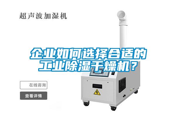 企業如何選擇合適的工業除濕干燥機？