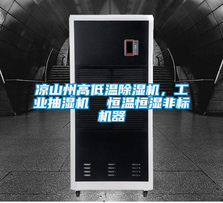 涼山州高低溫除濕機，工業(yè)抽濕機  恒溫恒濕非標機器