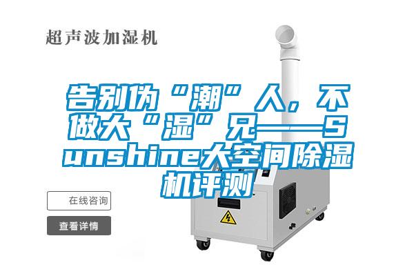 告別偽“潮”人，不做大“濕”兄——Sunshine大空間除濕機評測