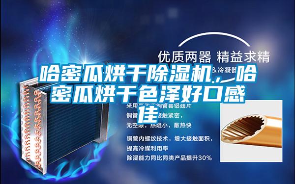 哈密瓜烘干除濕機,哈密瓜烘干色澤好口感佳