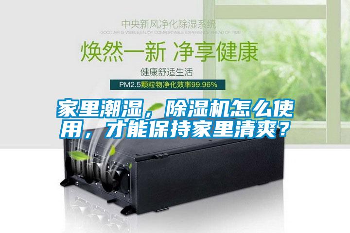 家里潮濕，除濕機怎么使用，才能保持家里清爽？