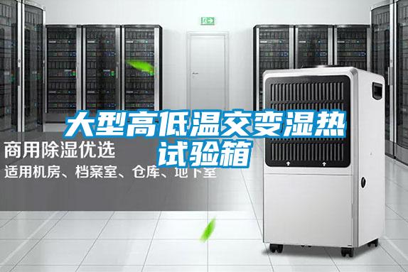 大型高低溫交變濕熱試驗箱