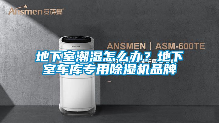 地下室潮濕怎么辦?地下室車庫(kù)專用除濕機(jī)品牌