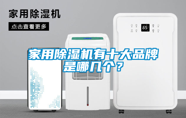 家用除濕機(jī)有十大品牌是哪幾個？