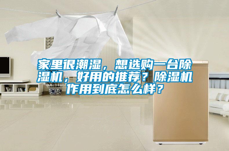 家里很潮濕,想選購一臺除濕機,好用的推薦?除濕機作用到底怎么樣?
