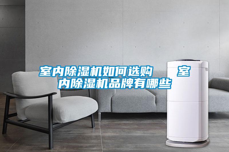室內(nèi)除濕機(jī)如何選購 室內(nèi)除濕機(jī)品牌有哪些
