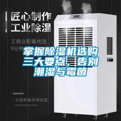 掌握除濕機選購三大要點，告別潮濕與霉菌
