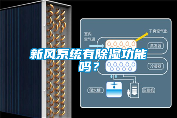 新風系統有除濕功能嗎?