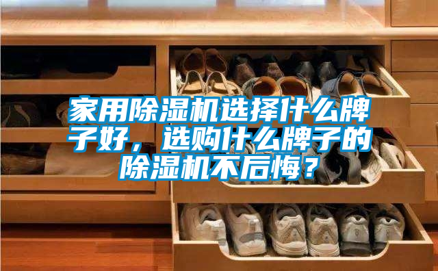 家用除濕機(jī)選擇什么牌子好,選購(gòu)什么牌子的除濕機(jī)不后悔?