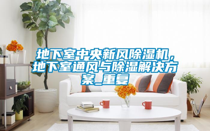 地下室中央新風除濕機，地下室通風與除濕解決方案_重復(fù)