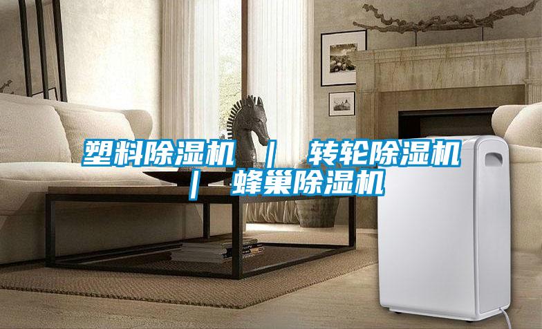塑料除濕機 | 轉輪除濕機 | 蜂巢除濕機