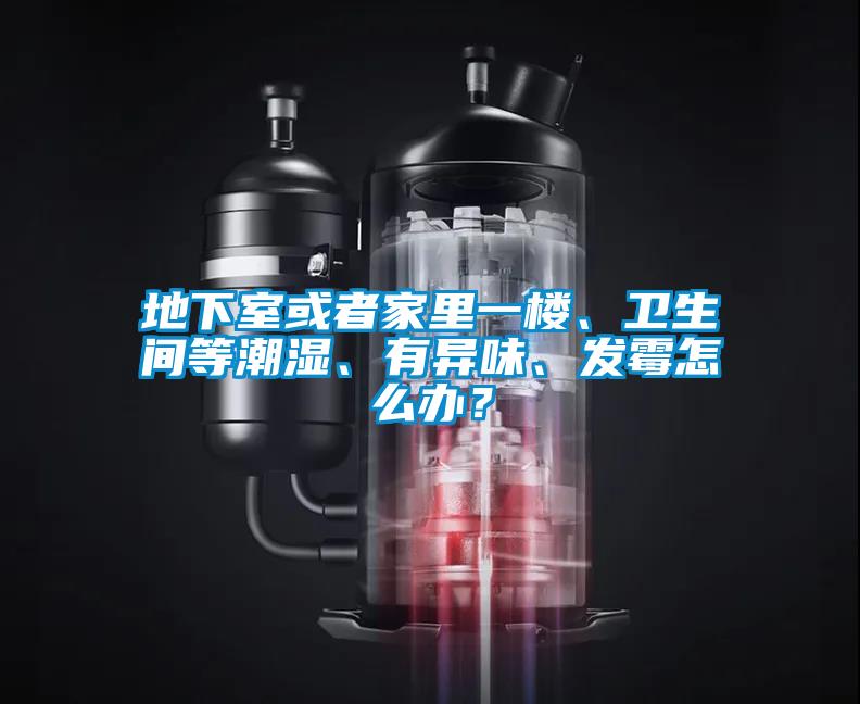 地下室或者家里一樓、衛生間等潮濕、有異味、發霉怎么辦？