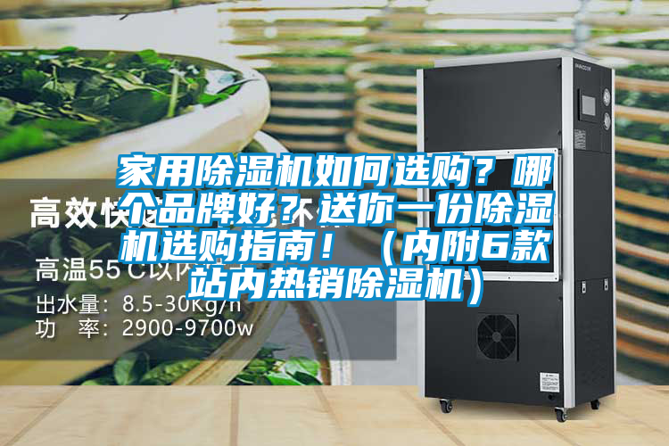 家用除濕機如何選購？哪個品牌好？送你一份除濕機選購指南！（內附6款站內熱銷除濕機）