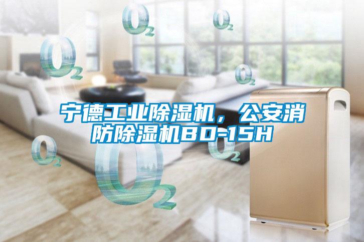 寧德工業(yè)除濕機(jī)，公安消防除濕機(jī)BD-15H