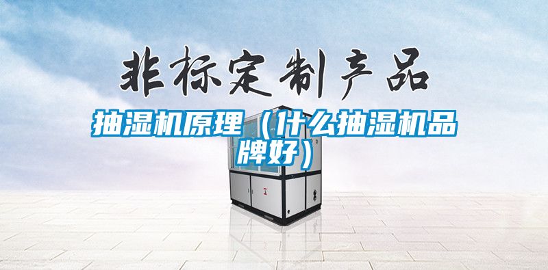 抽濕機原理（什么抽濕機品牌好）