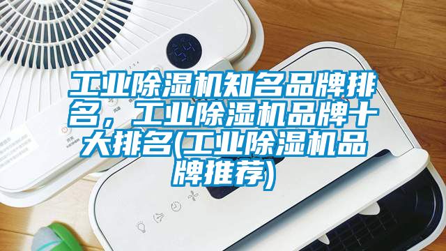 工業(yè)除濕機(jī)知名品牌排名，工業(yè)除濕機(jī)品牌十大排名(工業(yè)除濕機(jī)品牌推薦)