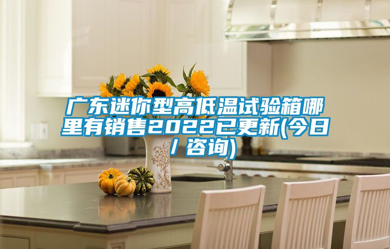 廣東迷你型高低溫試驗(yàn)箱哪里有銷(xiāo)售2022已更新(今日/咨詢(xún))