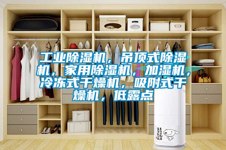 工業(yè)除濕機(jī)，吊頂式除濕機(jī)，家用除濕機(jī)，加濕機(jī)，冷凍式干燥機(jī)，吸附式干燥機(jī)，低露點(diǎn)