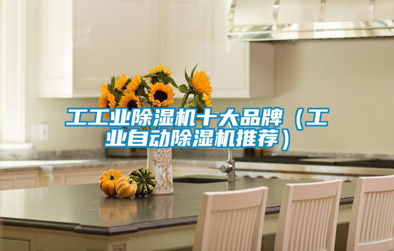 工工業除濕機十大品牌(工業自動除濕機推薦)