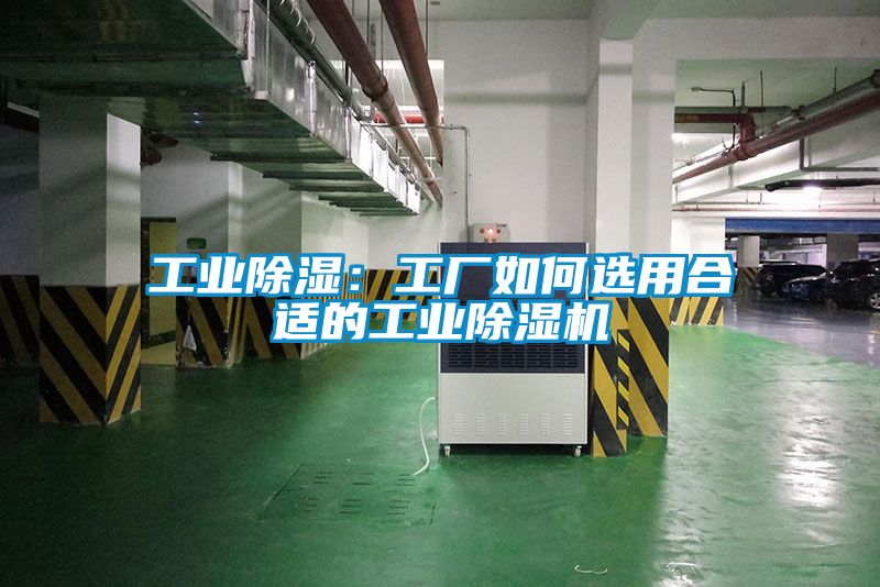 工業除濕:工廠如何選用合適的工業除濕機