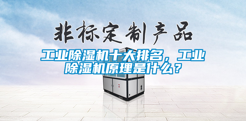 工業(yè)除濕機十大排名，工業(yè)除濕機原理是什么？