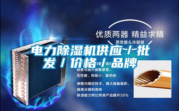電力除濕機供應/批發/價格/品牌