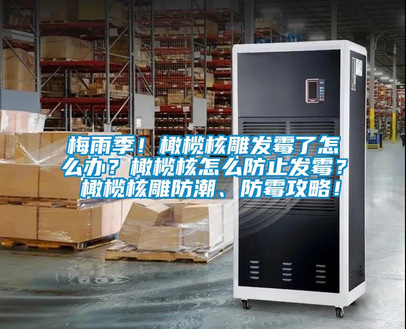 梅雨季！橄欖核雕發霉了怎么辦？橄欖核怎么防止發霉？ 橄欖核雕防潮、防霉攻略！