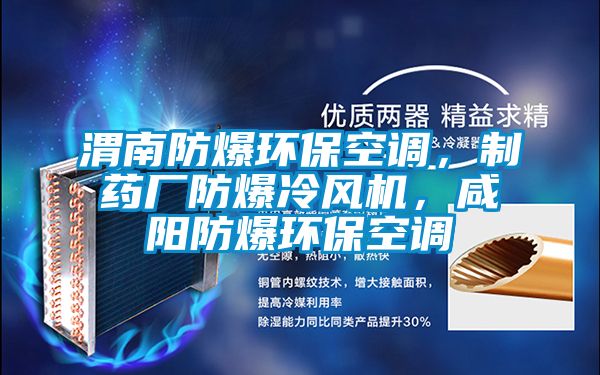 渭南防爆環(huán)?？照{(diào)，制藥廠防爆冷風(fēng)機(jī)，咸陽(yáng)防爆環(huán)?？照{(diào)