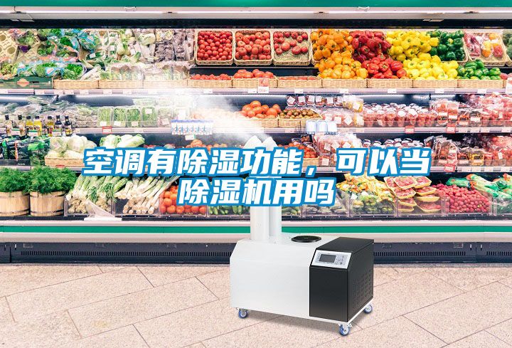空調(diào)有除濕功能，可以當除濕機用嗎