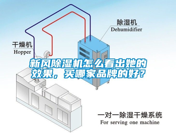 新風除濕機怎么看出她的效果，買哪家品牌的好？