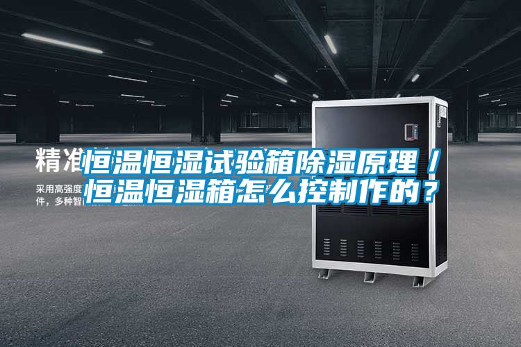 恒溫恒濕試驗箱除濕原理/恒溫恒濕箱怎么控制作的?