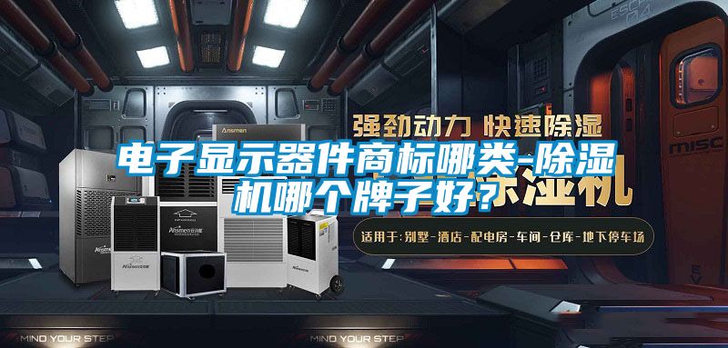電子顯示器件商標(biāo)哪類(lèi)-除濕機(jī)哪個(gè)牌子好？