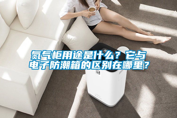 氮氣柜用途是什么？它與電子防潮箱的區別在哪里？