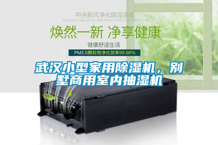 武漢小型家用除濕機，別墅商用室內抽濕機