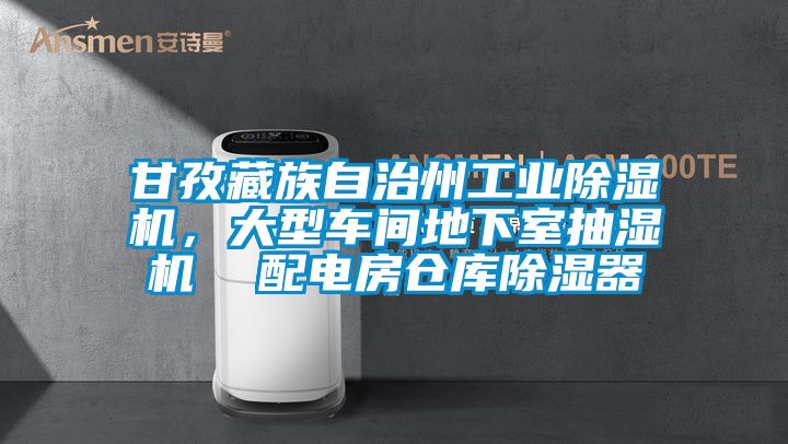 甘孜藏族自治州工業(yè)除濕機(jī)，大型車間地下室抽濕機(jī)  配電房倉庫除濕器
